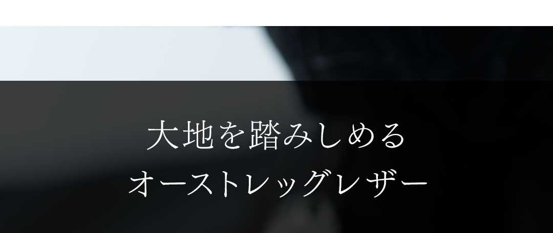 FAGASSENT TEDDY BEAR Series Julia / ファガッセン・テディベアシリーズ・ジュリア
