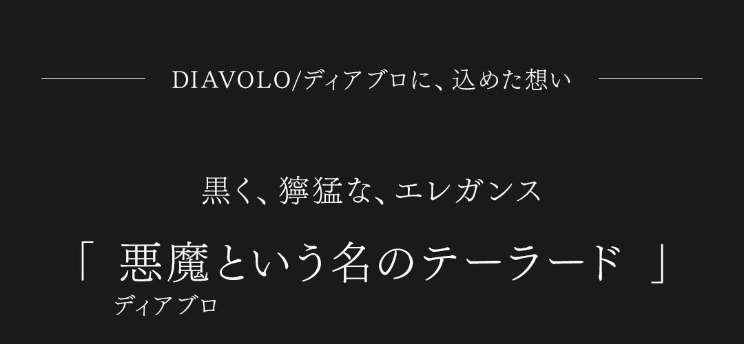 FAGASSENT DIAVOLO JACKET/ ファガッセン・ディアブロ・ジャケット