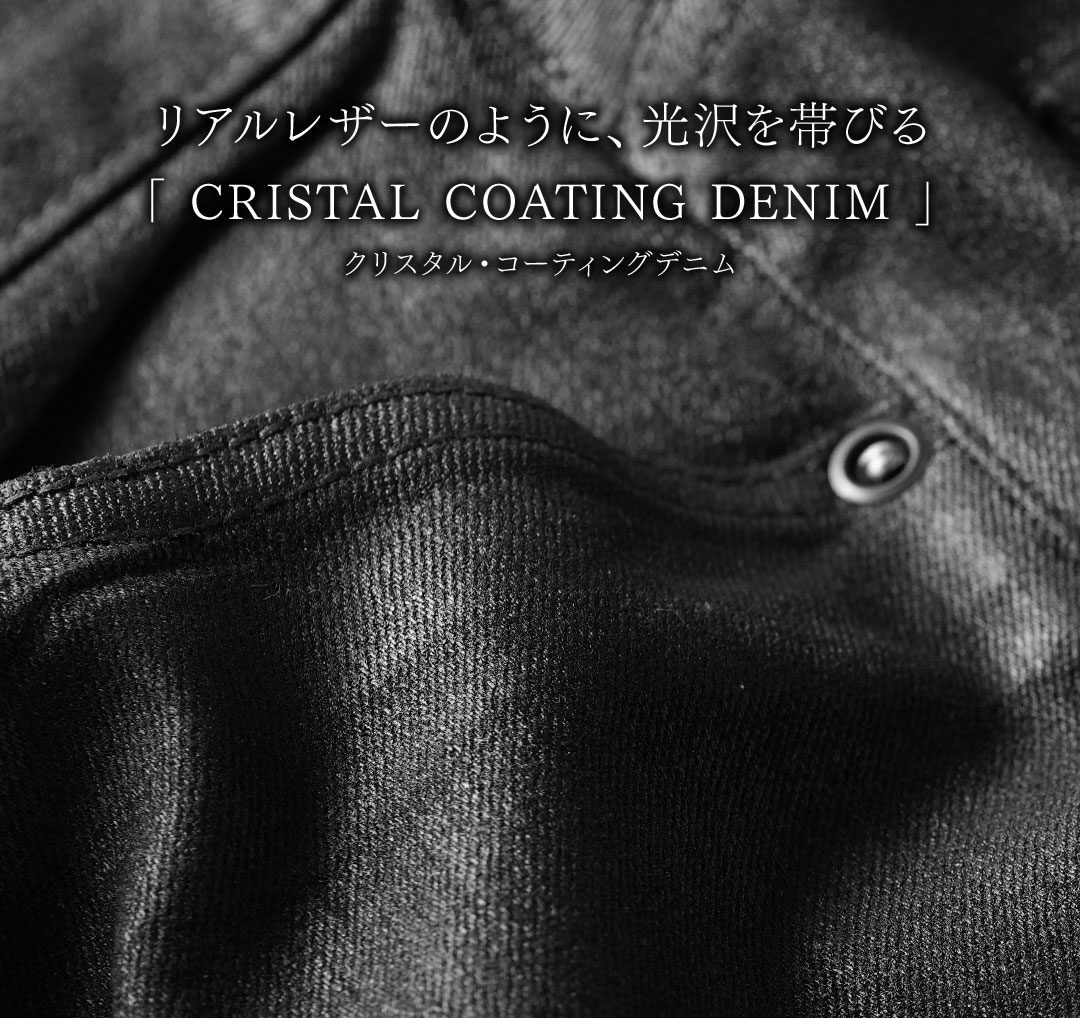 FAGASSENT BLACK BIRD Cristal Coating Denim / ファガッセン ブラックバード・クリスタル・コーティングデニム