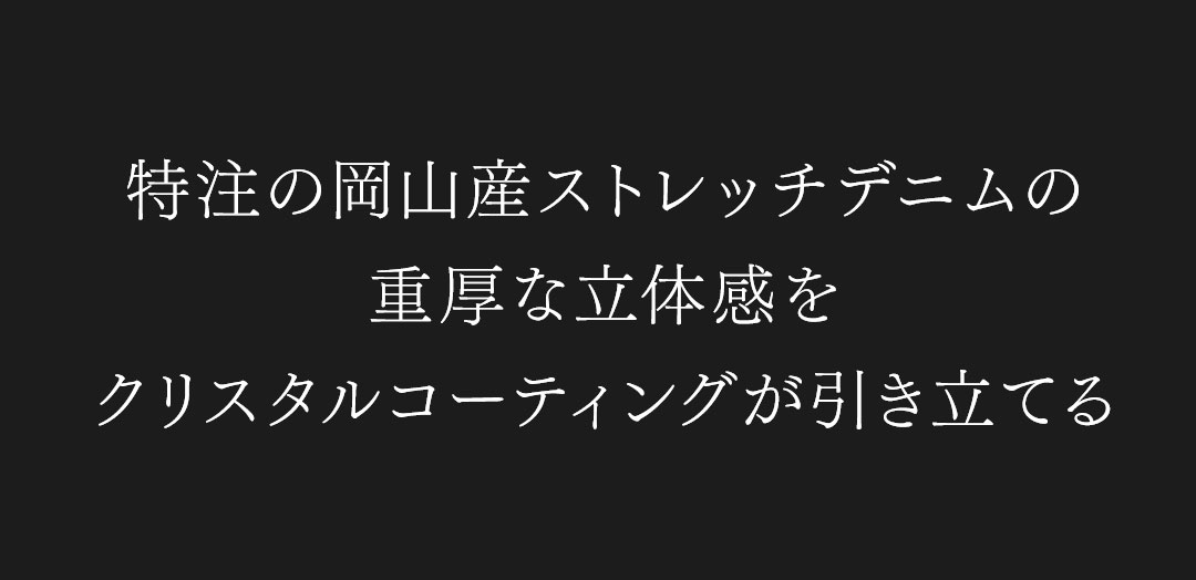 FAGASSENT MISTRAL / ファガッセン　ミストラル