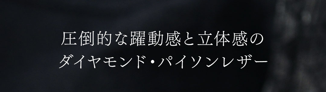 FAGASSENT RAVEN / ファガッセン レイヴン