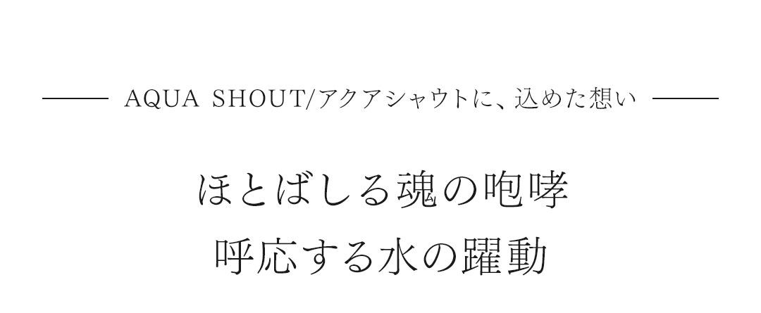 FAGASSENT AQUA SHOUT / ファガッセン・アクアシャウト