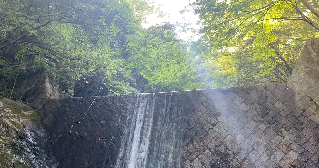 FAGASSENT AQUA SHOUT / ファガッセン・アクアシャウト