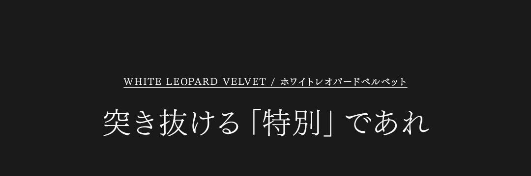 FAGASSENT MISTRAL / ファガッセン　ミストラル