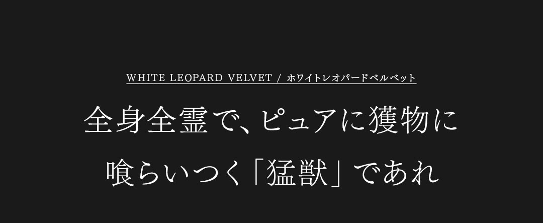 FAGASSENT MISTRAL / ファガッセン　ミストラル